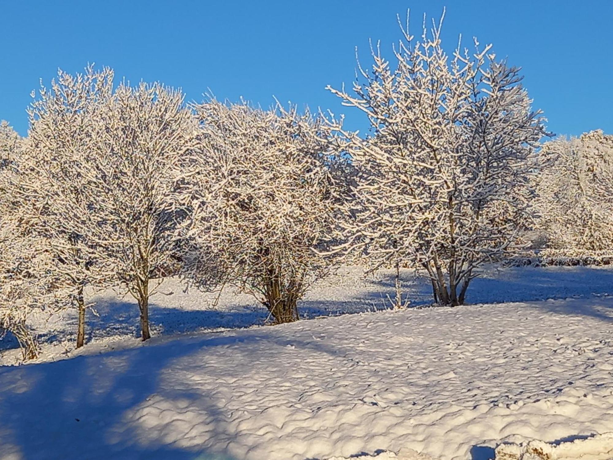 Valreley Bed & Breakfast Champagne-en-Valromey Dış mekan fotoğraf